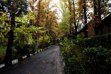 پاییز در دانشگاه علوم بهزیستی و توانبخشی